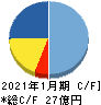 日本スキー場開発 キャッシュフロー計算書 2021年1月期
