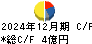 南海化学 キャッシュフロー計算書 2024年12月期