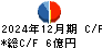 ＰＣＩホールディングス キャッシュフロー計算書 2024年12月期